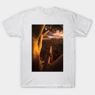 Side Light T-Shirt